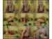 sinlove4114
